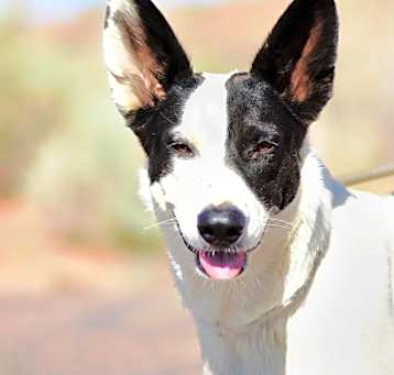 Photo of Gretta