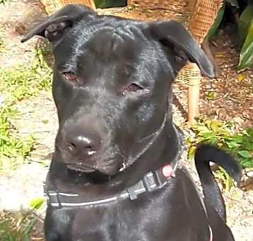 Photo of Max
