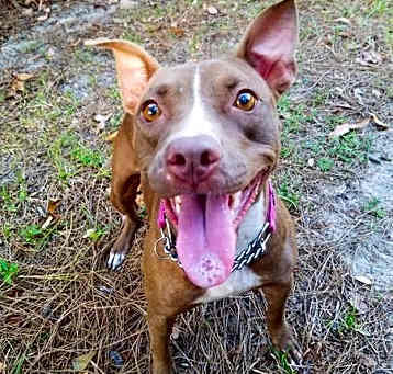 Photo of Delilah