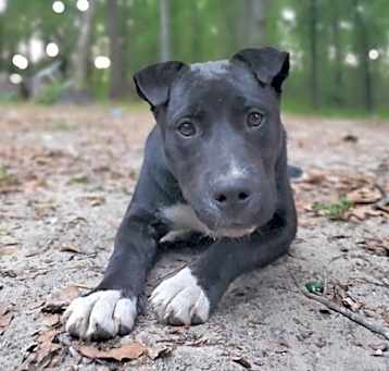 Photo of Remedy