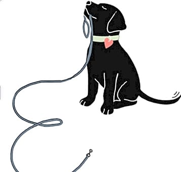 Photo of Find My FurEver