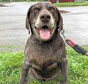 Photo of Remi