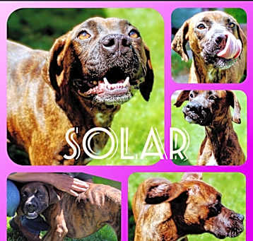 Photo of SOLAR