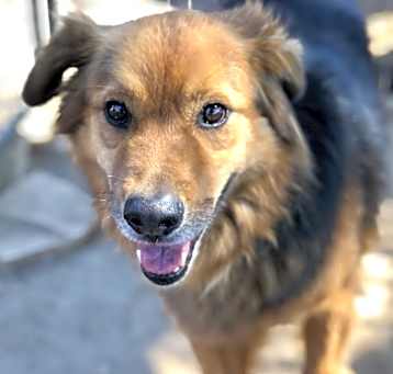 Photo of Ruckus