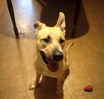 Photo of Ricardo