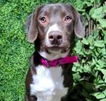 Photo of Lizzie