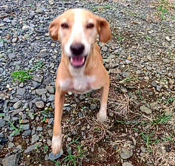 Photo of Isabella