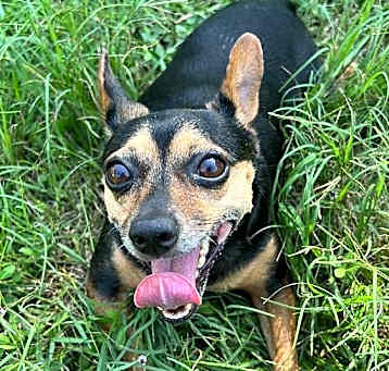 Photo of Princesa
