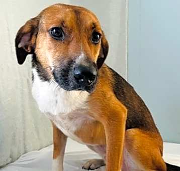 Photo of Bruno