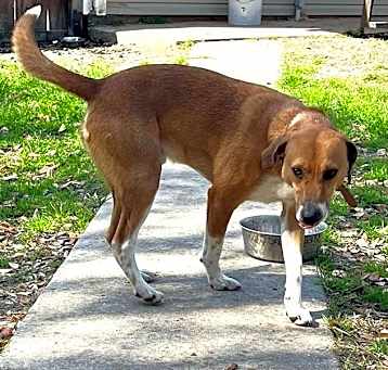 Photo of PeeWee