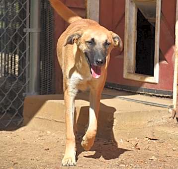 Photo of Ace