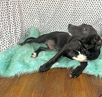 Photo of Armani