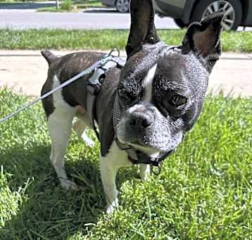 Photo of Manny
