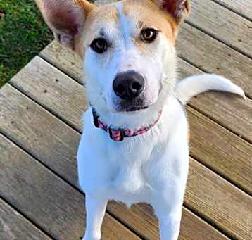 Photo of Molly