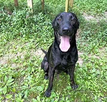 Photo of Sammy