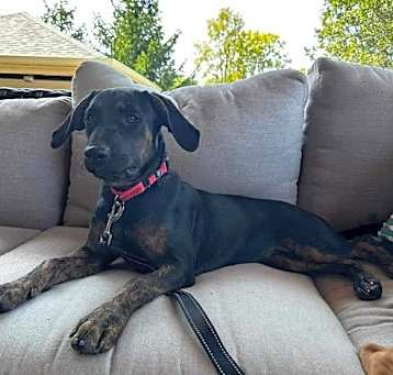 Photo of Lacie