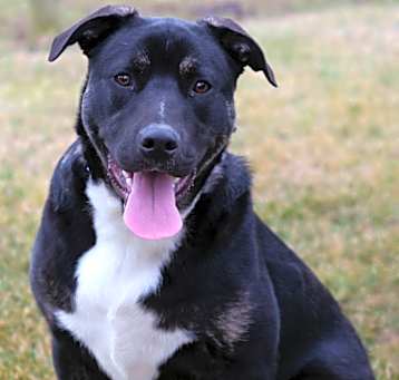 Photo of Finn