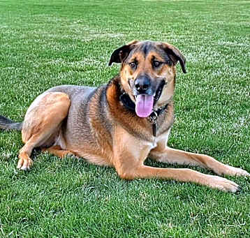 Photo of Waylon