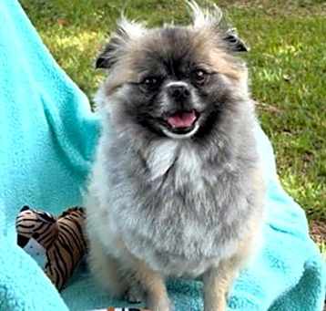 Photo of Princess Gia