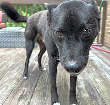 Photo of Marlo