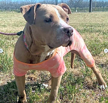 Photo of Nellie