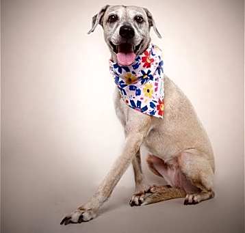 Photo of Polly