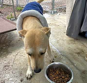Photo of Maggie