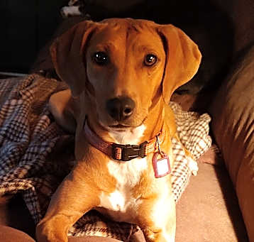 Photo of Georgie Girl