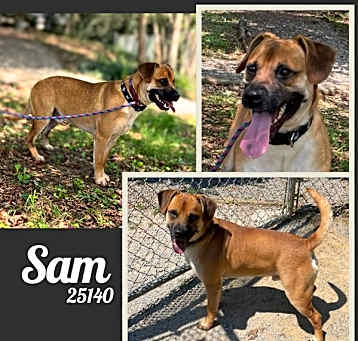 Photo of Sam