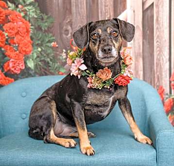 Photo of Maggie Mae