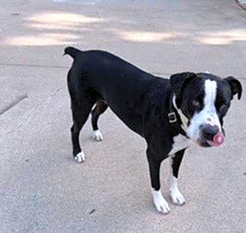 Photo of CLOVER