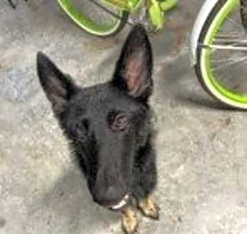 Photo of MURPHY