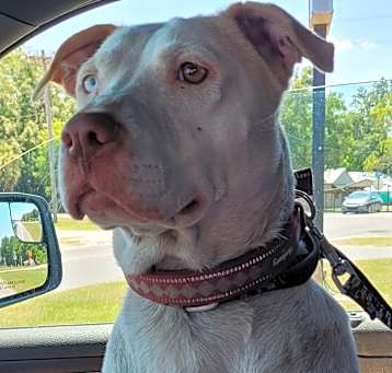 Photo of Coco
