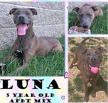 Photo of Luna