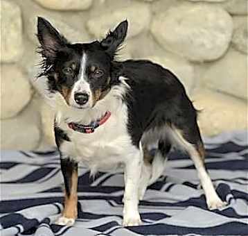 Photo of Lulu