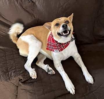 Photo of Max