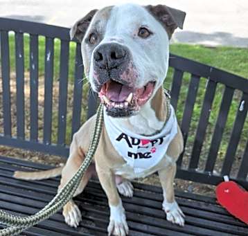 Photo of Tank