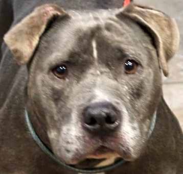 Photo of Stormy 5/13/25