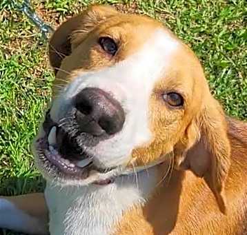 Photo of Wrangler
