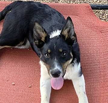 Photo of Khaos