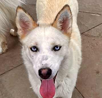 Photo of Cream