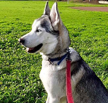 Photo of Echo