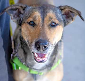 Photo of Nora