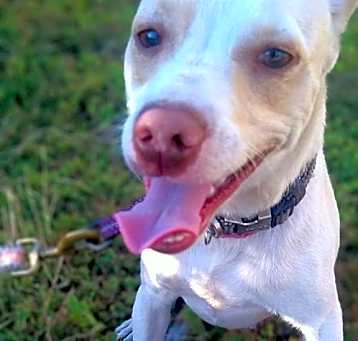 Photo of Oddie