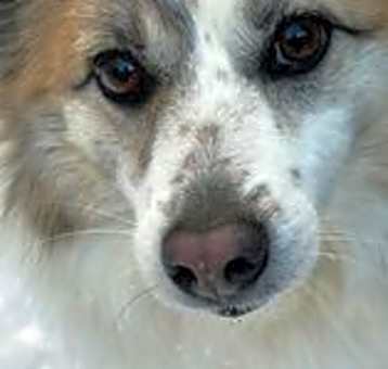 Photo of Nora
