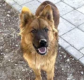 Photo of Spice