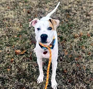 Photo of Sammy