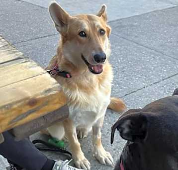 Photo of Heidi