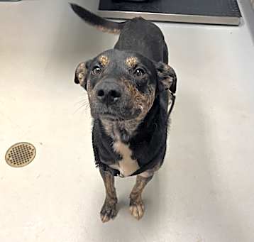 Photo of Duke