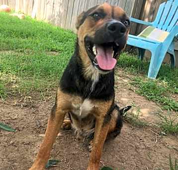 Photo of Atom